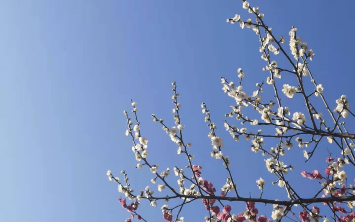 职场人需要坚持和提升的10大习惯，都和你有关